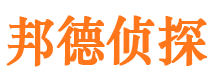 大悟市私家侦探